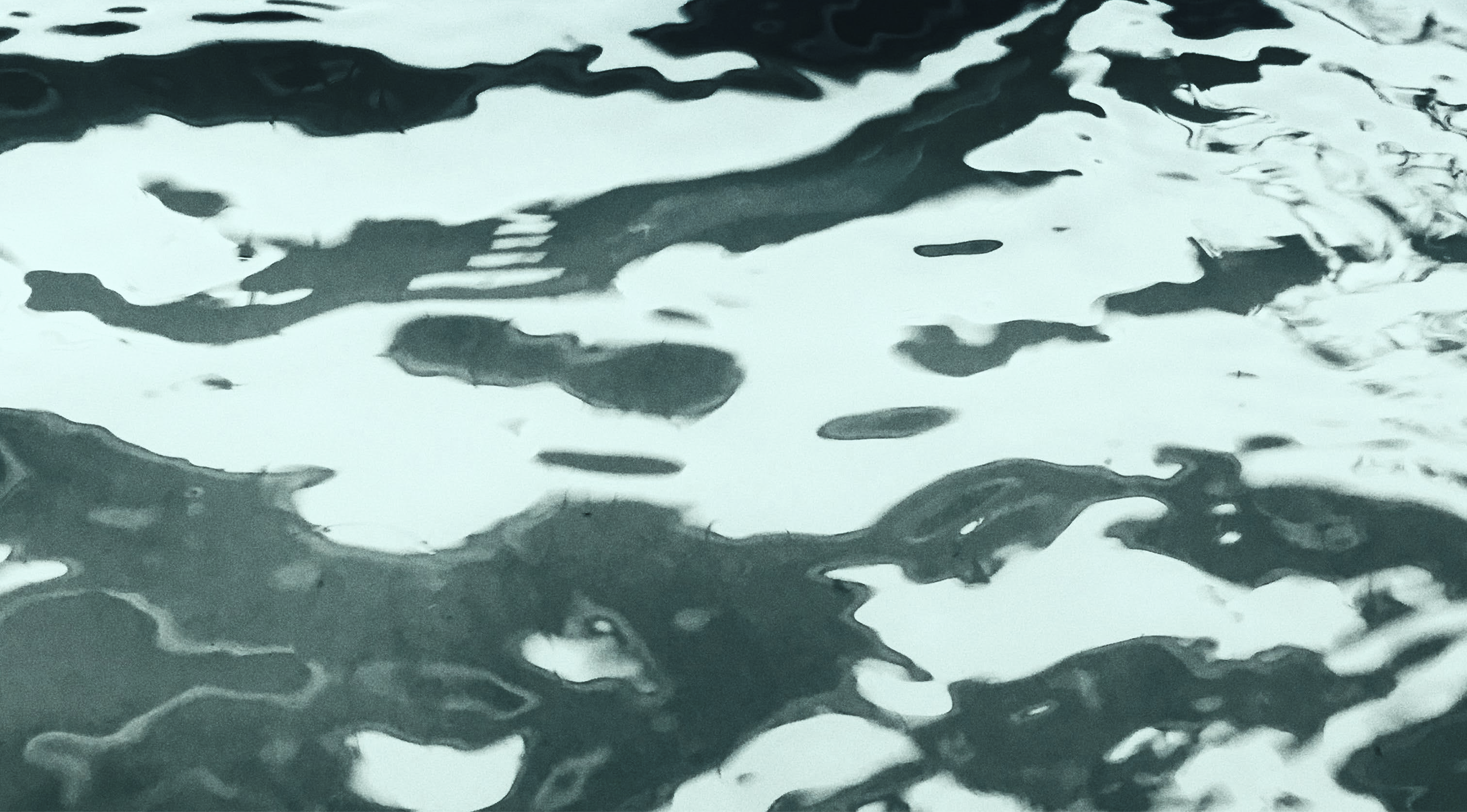 An eye-catching landscape of green.